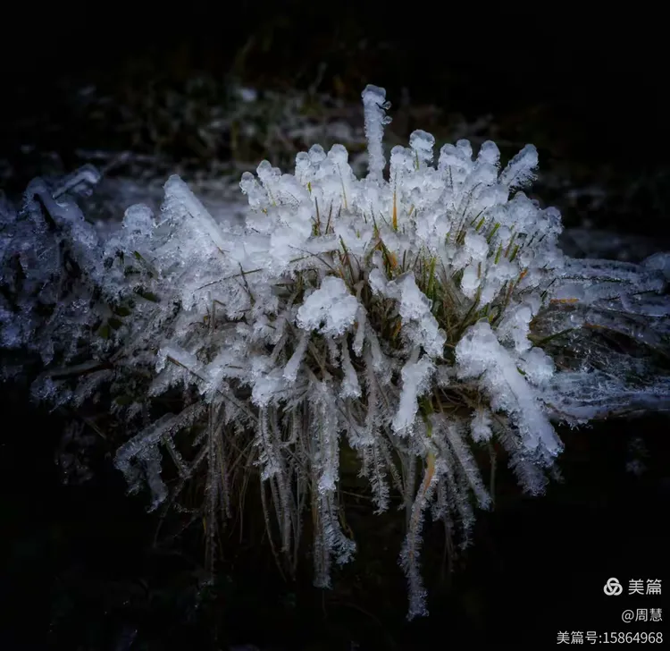 雪凝